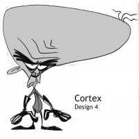 Cortex Evolution